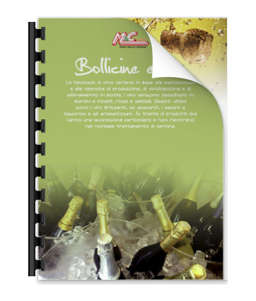 Bollicinee Vini